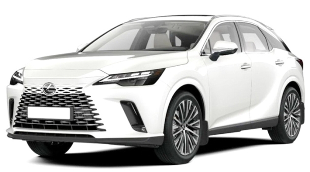 Автомобильные коврики EVA 3D для Lexus RX V (2022->)